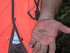 Projectile point recovered from the recent shovel testing at 3MN298.