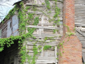 Detail of the Taylor House near Monticello. This will be the site of our upcoming joint AAS-UAM/AAS-SAU Spring Break Dig, March 24-30.