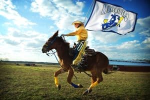 The SAU Mulerider at the school’s centennial in 2009, Sunny Wilcox riding Molly B.