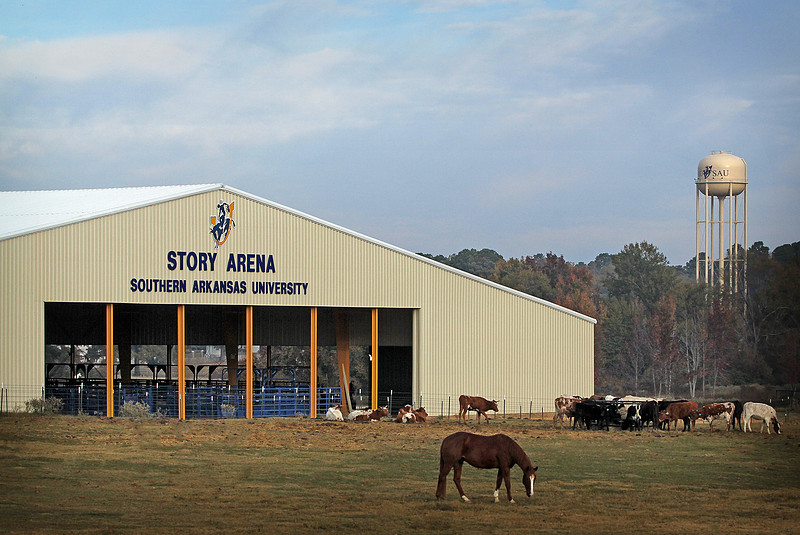 PHOTO OF STORY ARENA