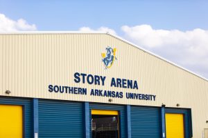 Story Arena