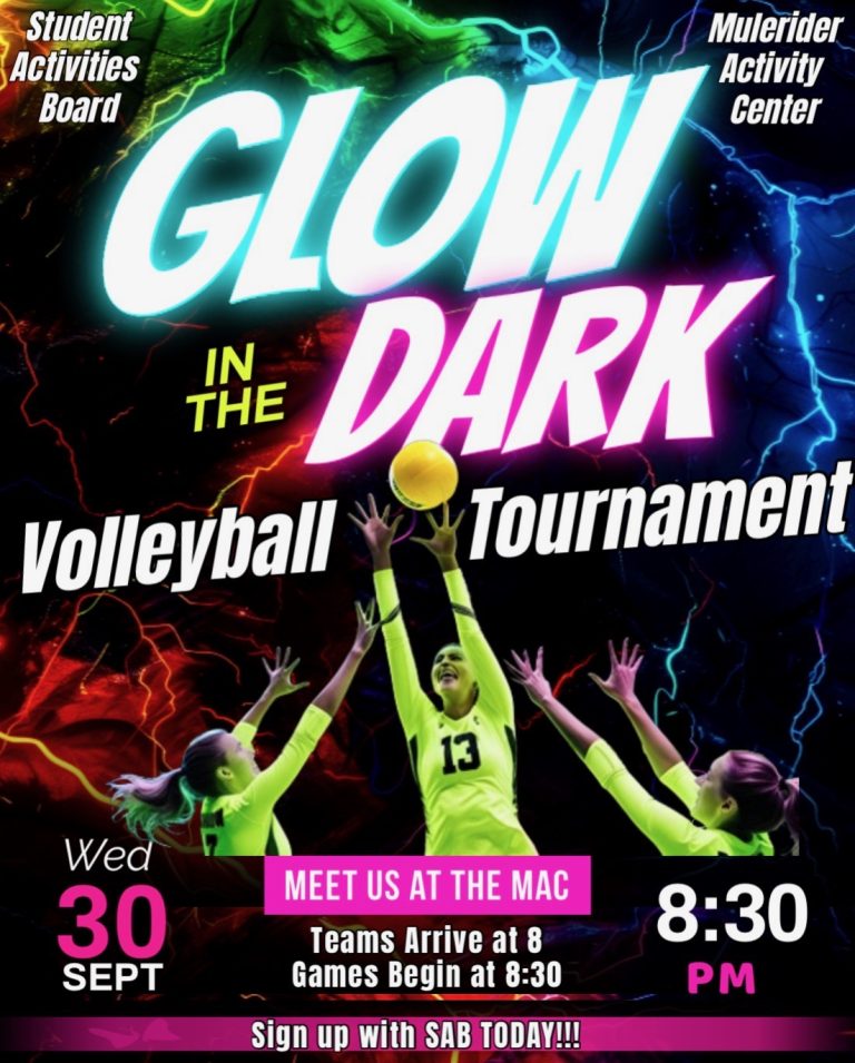Glow in the Dark Volleyball Tournament