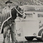 Optimaggie's trailer photo