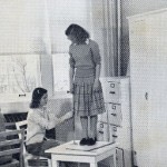Measuring Skirt Length photo