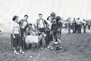M-Aggie, the goat photo