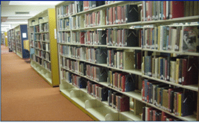 Photograph of Main Collection