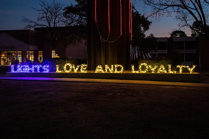 Lights Love and Loyalty