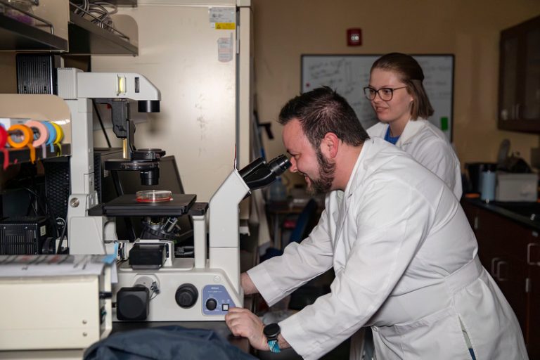 SAU professor conducting research on fighting breast cancer