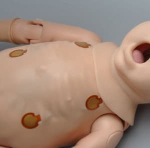 ECG monitoring Newborn has conductive skin regions that allow the application of real electrodes to view ECGs with physiologic variations, allowing the user to track cardiac rhythms with their own equipment just like with a human patient.