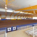 ~ SAU Rodeo Story Arena_3919